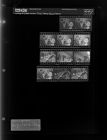 Boy's Home Bowl Game (11 negatives), August 10-11, 1966 [Sleeve 23, Folder d, Box 40]
